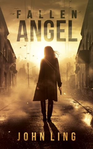 [A Raines & Shaw Thriller 01] • Fallen Angel